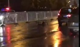 郑州二环爆料事件视频,揭秘城市交通治理背后的故事