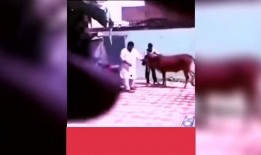 搞笑爆料类视频大全,笑到肚子疼的瞬间回顾